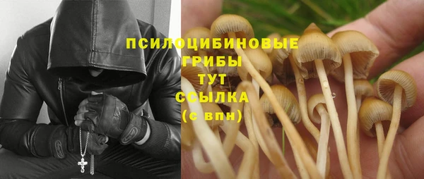 СК Козловка