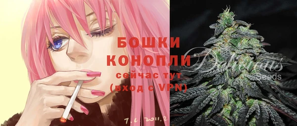 ГАЛЛЮЦИНОГЕННЫЕ ГРИБЫ Козельск